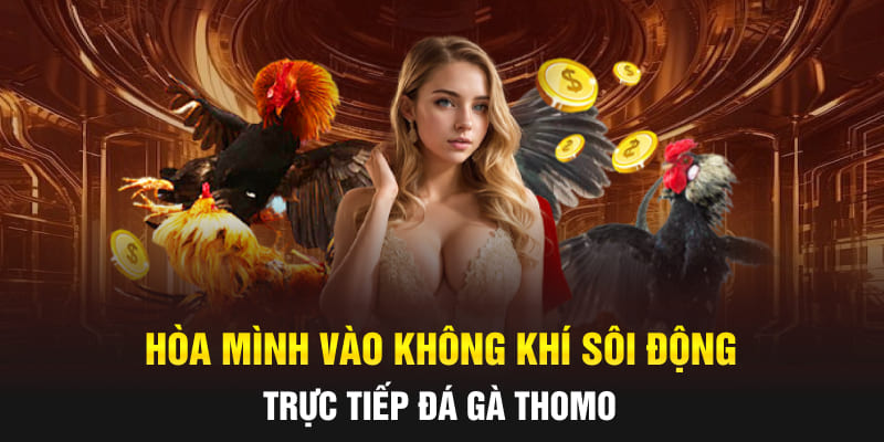 Hòa mình vào không khí sôi động trực tiếp đá gà Thomo